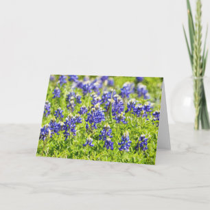 Wonderful Kaart van de Schrift van de Schrift van 