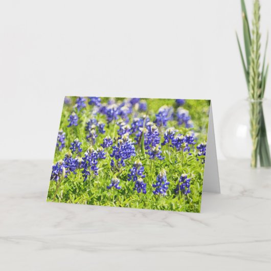 Wonderful Kaart van de Schrift van de Schrift van  (Voorkant)