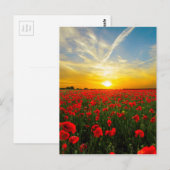 Wonderful Poppy Field Sunset Horizon Briefkaart (Voorkant / Achterkant)
