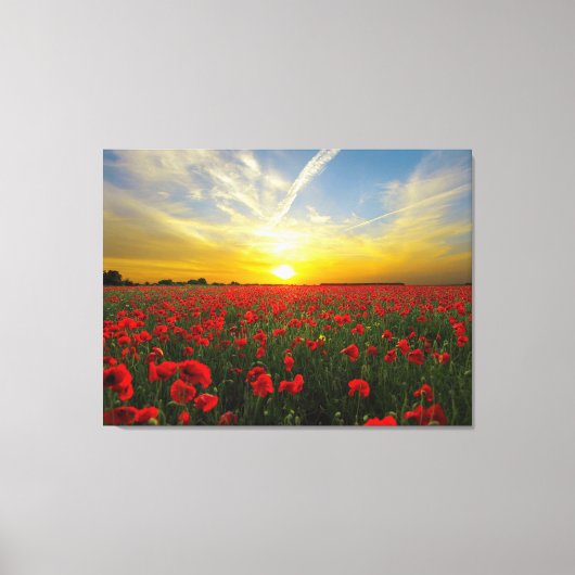 Wonderful Poppy Field Sunset Horizon Canvas Afdruk (Voorkant)