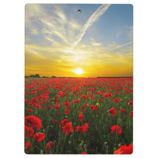 Wonderful Poppy Field Sunset Horizon Klembord (Achterkant)
