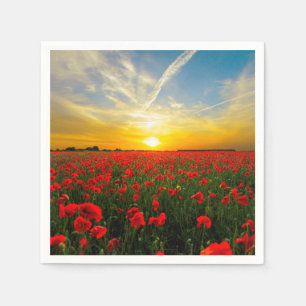 Wonderful Poppy Field Sunset Horizon Servet