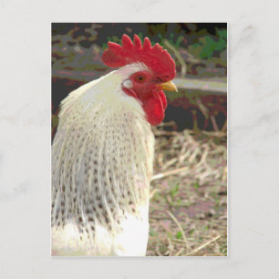 Wonderful Rooster 2 Briefkaart