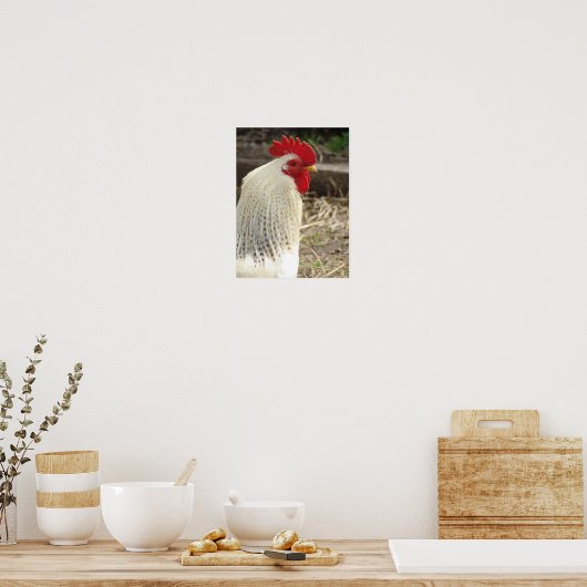 Wonderful Rooster Poster (Keuken)