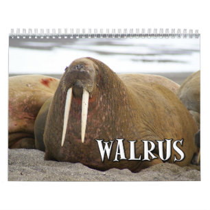 Wonderful Walrus Wall Agenda Kalender