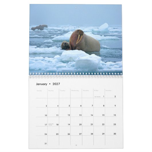 Wonderful Walrus Wall Agenda Kalender (Jan 2027)
