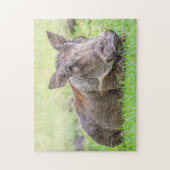 Wonderful Warthog Puzzle Legpuzzel (Verticaal)