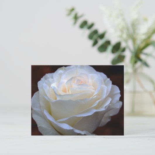 Wonderful White Rose Briefkaart (Staand voorkant)