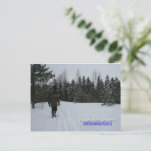 Wonderful Winters in Suomi Finland Briefkaart (Staand voorkant)