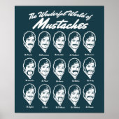 Wonderful World of Mustaches Poster (Voorkant)