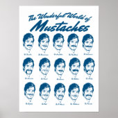 Wonderful World of Mustaches Poster (Voorkant)