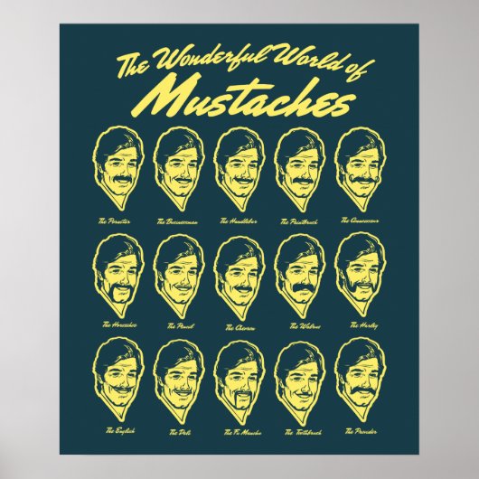 Wonderful World of Mustaches Poster (Voorkant)