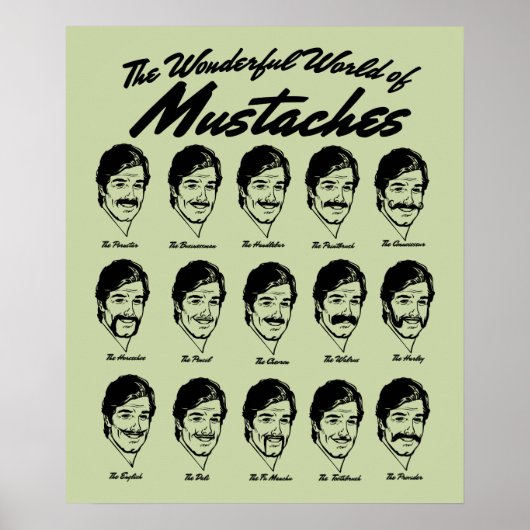 Wonderful World of Mustaches Poster (Voorkant)