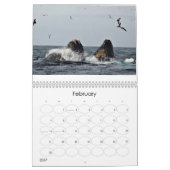 Wonderful World of Whales 2015 Calender Kalender (Feb 2027)