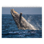 Wonderful World of Whales 2015 Calender Kalender (Hoes)