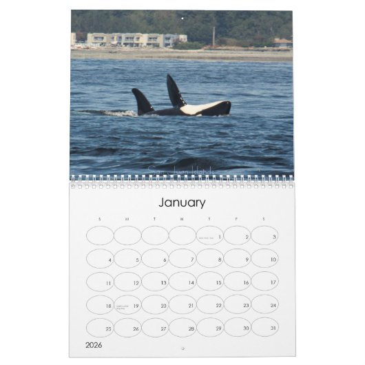 Wonderful World of Whales 2015 Calender Kalender (Jan 2026)
