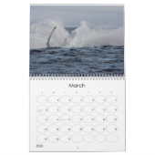 Wonderful World of Whales 2015 Calender Kalender (Mar 2026)