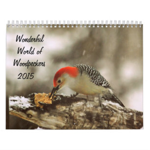 Wonderful World of Woodpeckers 2015 Kalender
