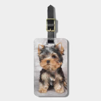 Wonderful yorkie bagagelabel