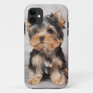 Wonderful yorkie iPhone 11 hoesje