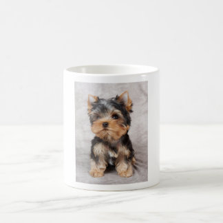 Wonderful yorkie koffiemok