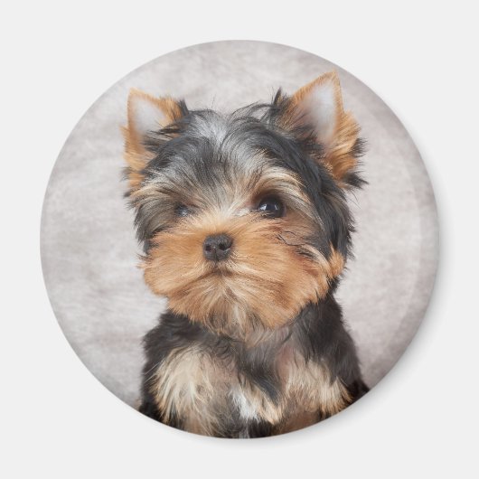 Wonderful yorkie magneet (Voorkant)
