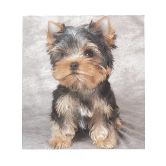 Wonderful yorkie notitieblok (Voorkant)