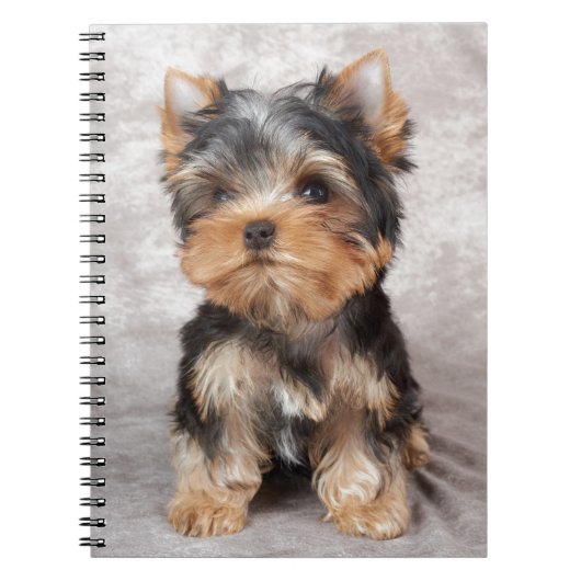 Wonderful yorkie notitieboek (Voorkant)