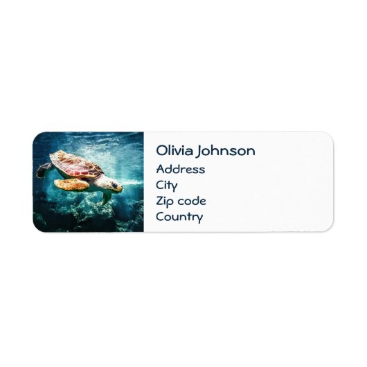 Wonderful Zee Turtle Ocean Life Turquoise Zee Etiket (Voorkant)