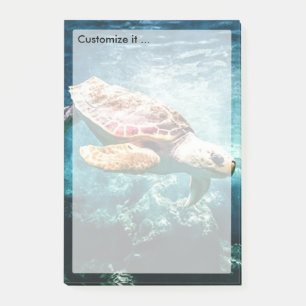 Wonderful Zee Turtle Ocean Life Turquoise Zee Post-it® Notes