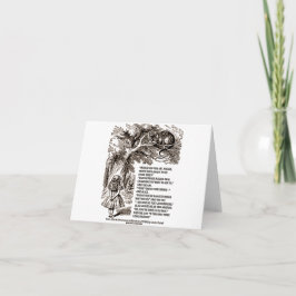 Wonderland op welke manier ik het citaat zou moete kaart