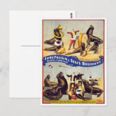 Wonderlijk Getrainde Circusrobben, 1899 Briefkaart (Voorkant / Achterkant)