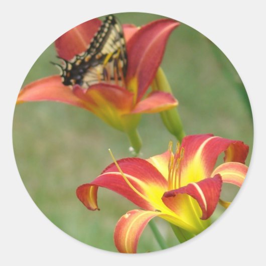 Wonders Beyond Sticker (Voorkant)