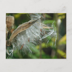 Wonders of Natuur~ Seeds Briefkaart