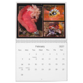 WONDERS ONDER KALENDER (Feb 2027)