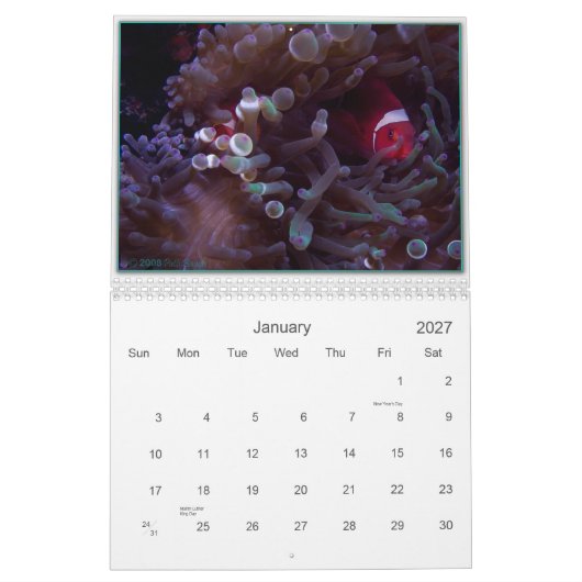 WONDERS ONDER KALENDER (Jan 2027)