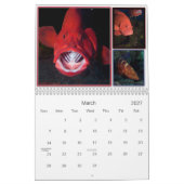 WONDERS ONDER KALENDER (Mar 2027)