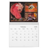 WONDERS ONDER KALENDER (Feb 2026)