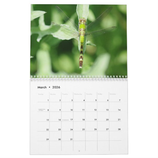 Wondstaarkalender Kalender (Mar 2026)