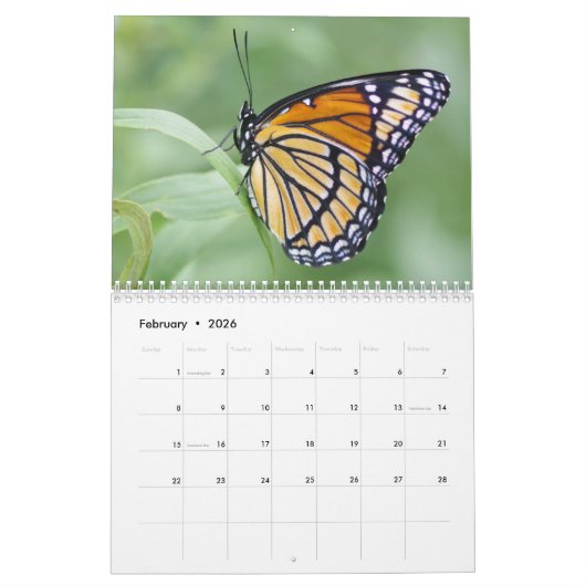 Wondstaarkalender Kalender (Feb 2026)