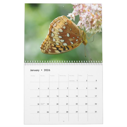 Wondstaarkalender Kalender (Jan 2026)