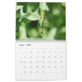 Wondstaarkalender Kalender (Mar 2027)