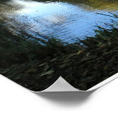 Woningwilg door het meer poster (Hoek)