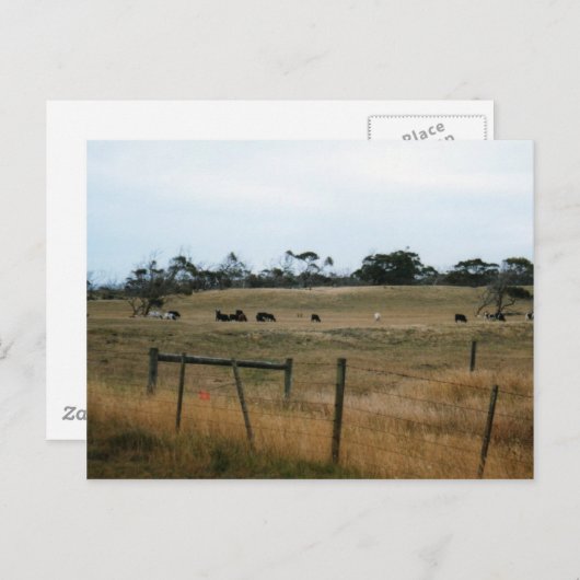 Wonthaggi Briefkaart (Voorkant / Achterkant)