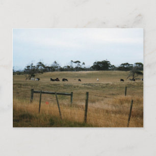 Wonthaggi Briefkaart