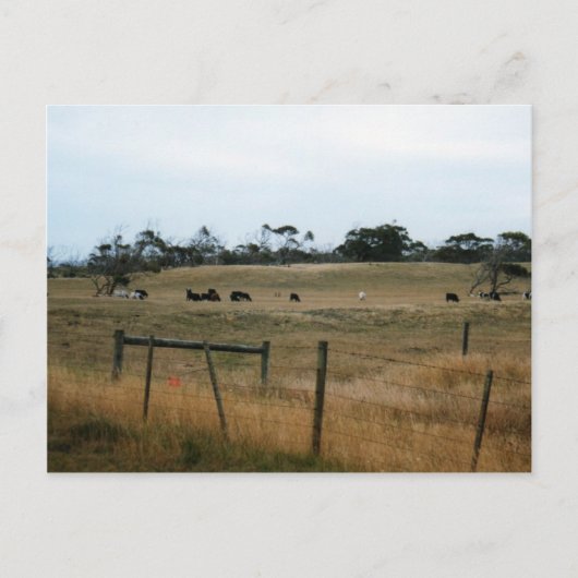 Wonthaggi Briefkaart (Voorkant)