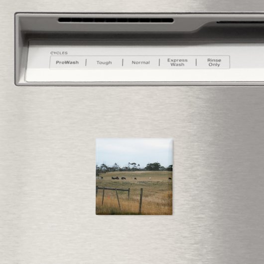 Wonthaggi Magneet (Insitu (Vaatwasser))