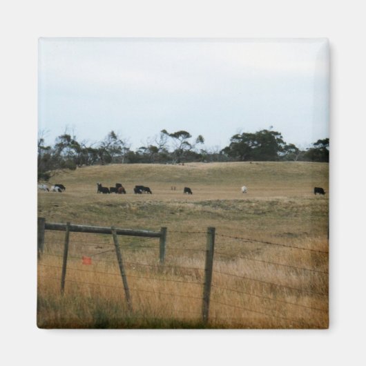 Wonthaggi Magneet (Voorkant)