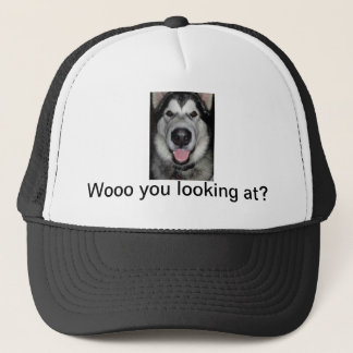 Woo waar je naar kijkt. Alaskan malamute Trucker Pet