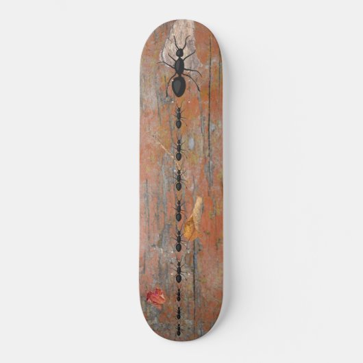 Wood Bark Ants Follow Leader Maple Leaves Twig Persoonlijk Skateboard (Voorkant)